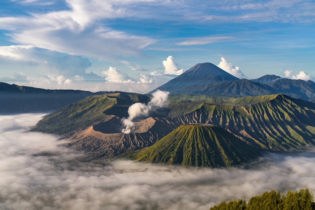 Paesaggio montuoso con nebbia