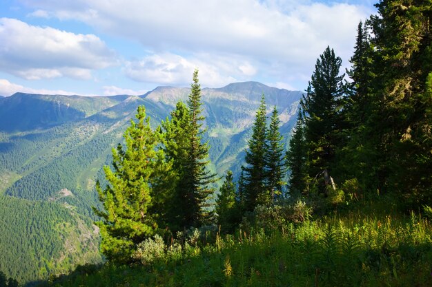 Paesaggio montuoso orizzontale