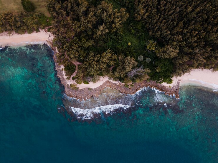 Foto gratuito paesaggio mozzafiato delle hawaii con il mare blu