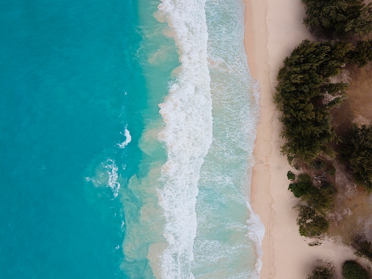 Foto gratuito paesaggio mozzafiato delle hawaii con l'oceano