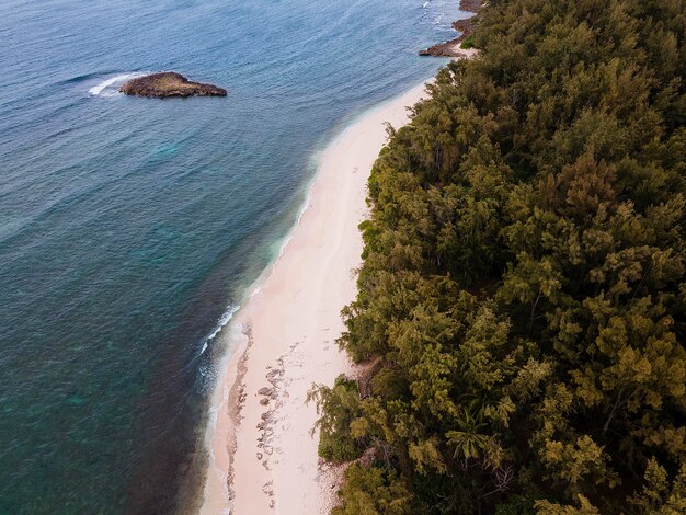 Paesaggio mozzafiato delle Hawaii con la spiaggia