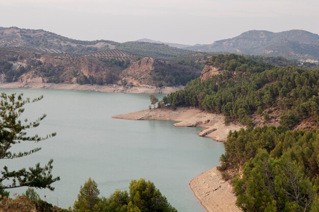 Paesaggio naturale con alberi verdi