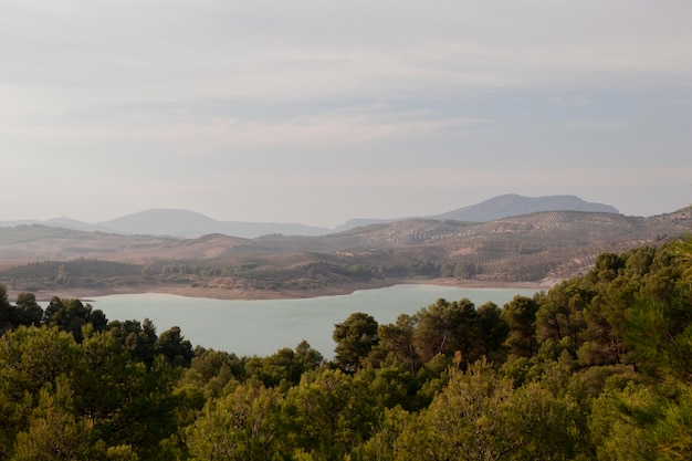 Paesaggio naturale con bella vegetazione