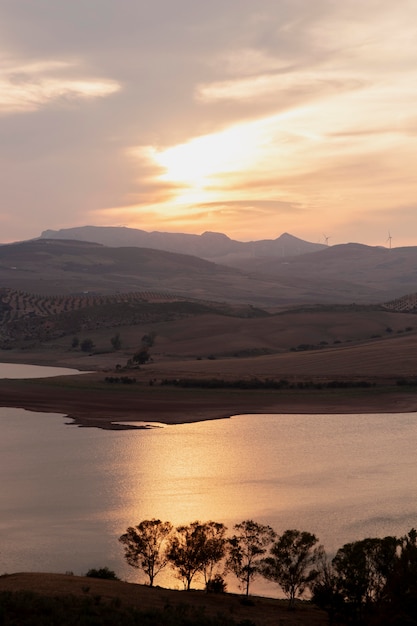 Paesaggio naturale con l'alba e gli alberi
