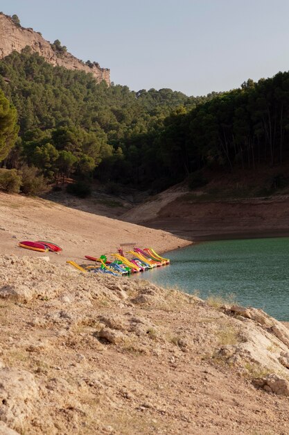Paesaggio naturale con spiaggia
