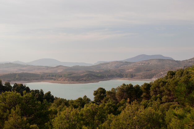 Paesaggio naturale con una bellissima vegetazione