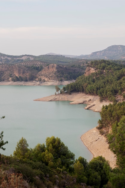 Paesaggio naturale con vegetazione verde