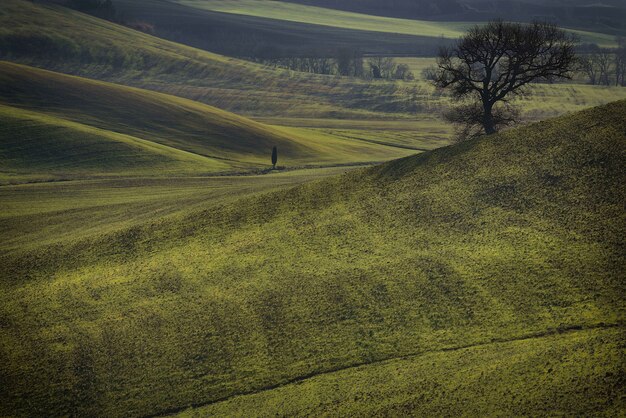 paesaggio naturale