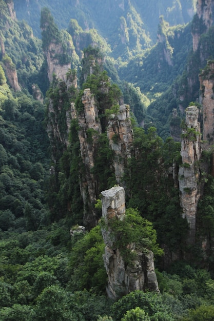 Paesaggio naturale