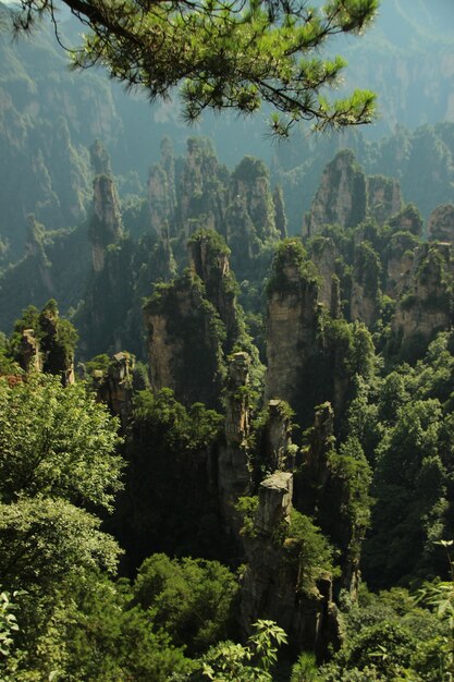 Paesaggio naturale