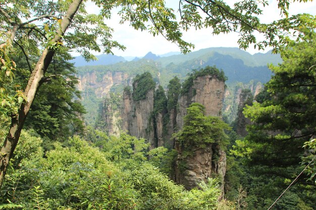 Paesaggio naturale