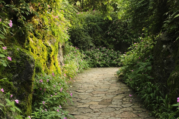 Paesaggio naturale