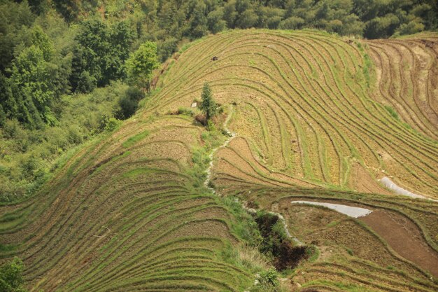 Paesaggio naturale