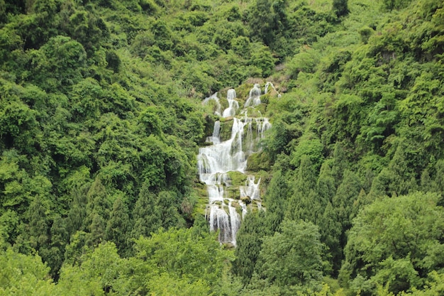 Paesaggio naturale