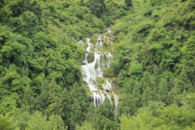 Paesaggio naturale