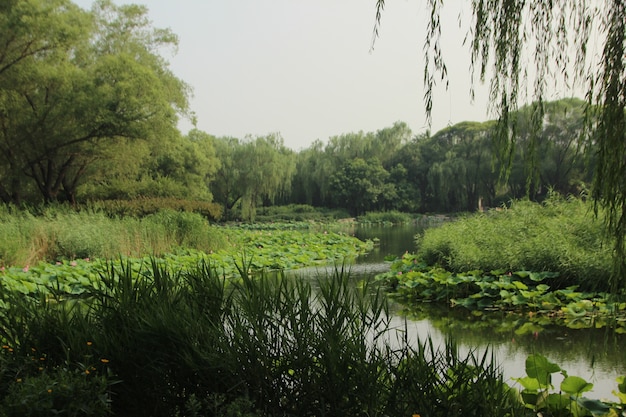 Paesaggio naturale