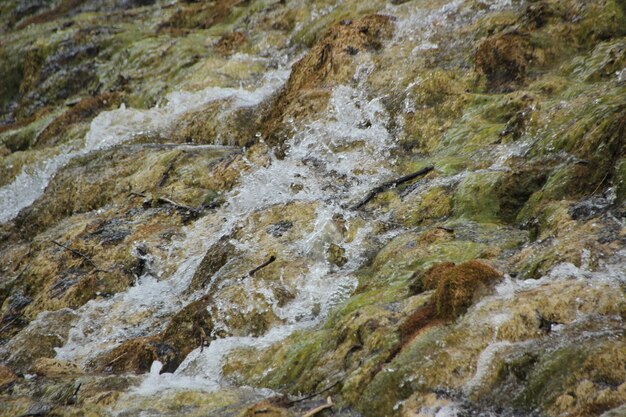 Paesaggio naturale