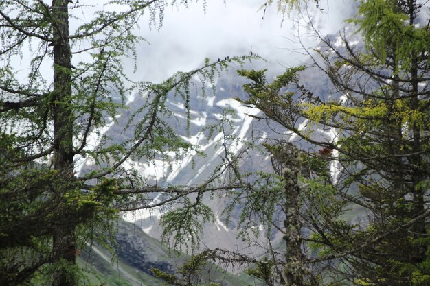 Paesaggio naturale