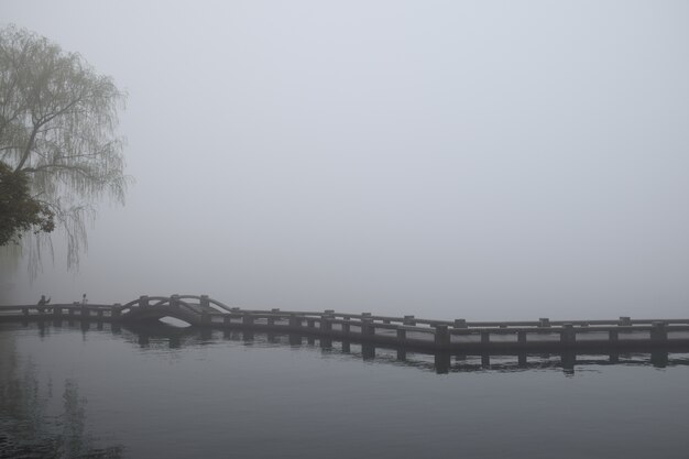 paesaggio nebbioso con ponte e passerella