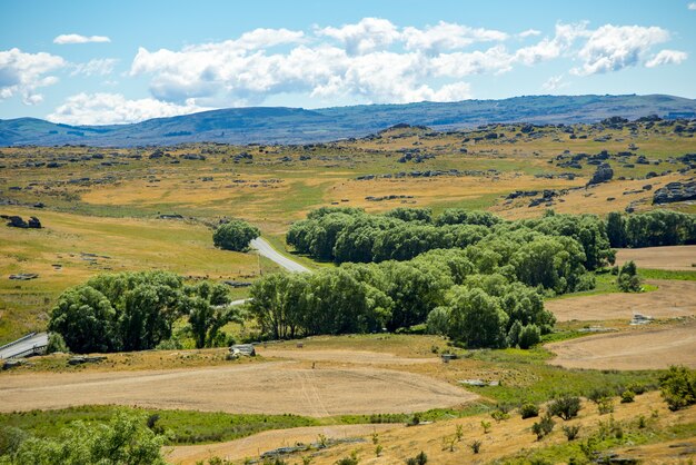 Paesaggio panoramico delle dolci colline e pascoli di Central Otago, Nuova Zelanda