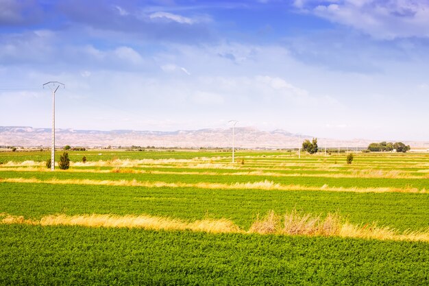 Paesaggio rurale con campi in Aragona