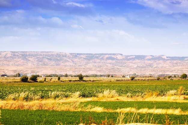 Paesaggio rurale in Aragona