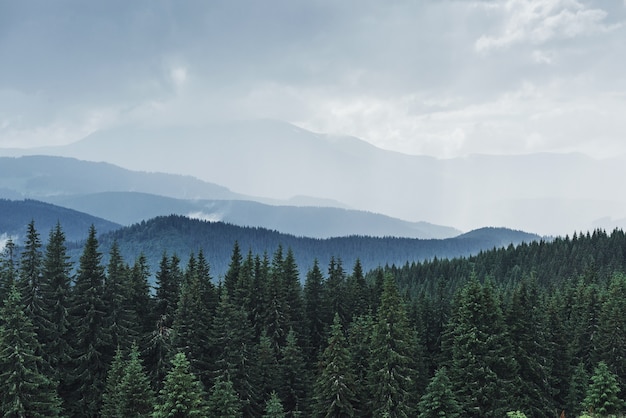 Paesaggio scenico delle montagne dopo la pioggia. Carpazi dell'Ucraina.