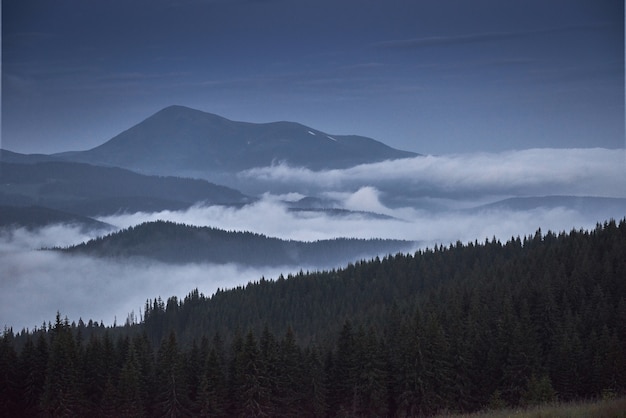 Paesaggio scenico delle montagne dopo la pioggia. Carpazi dell'Ucraina.