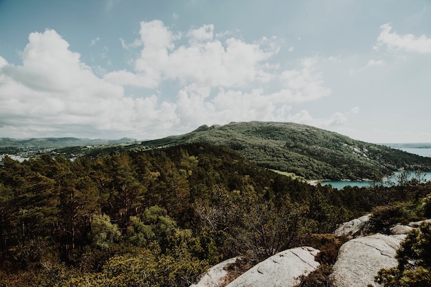 Paesaggio soleggiato di una montagna