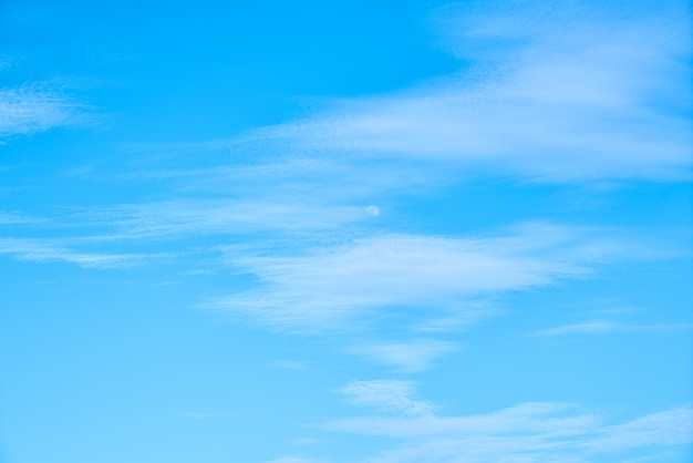 paesaggio stagione primaverile soffici tempo