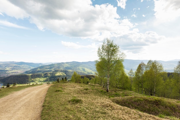 Paesaggio tranquillo e bellissimo alla luce del giorno