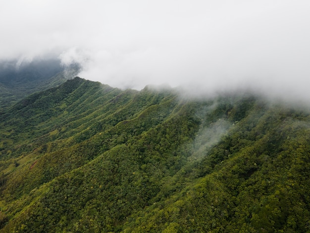 Paesaggio tropicale hawaii con vista sulle montagne