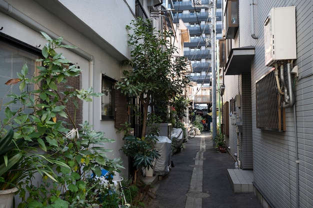 Paesaggio urbano di Tokyo di giorno