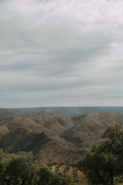 Paesaggio verde con molti alberi verdi e montagne sotto le nuvole temporalesche