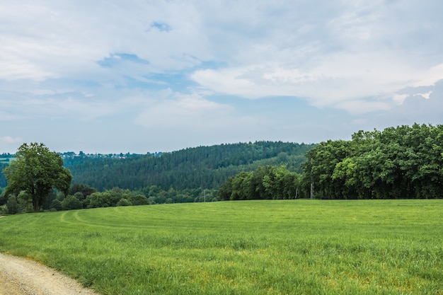 paesaggio verde sotto il cielo azzurro e nuvole bianche