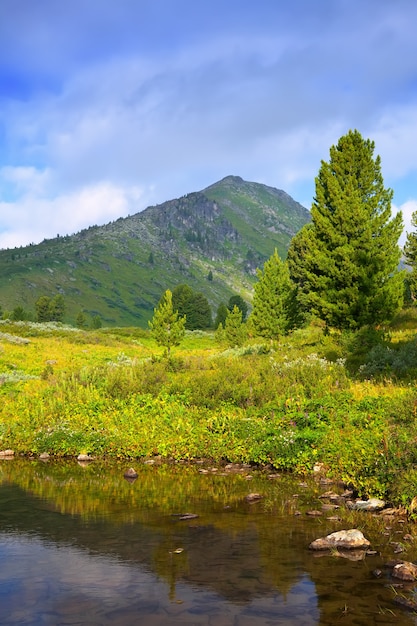 Paesaggio verticale con montagne lago