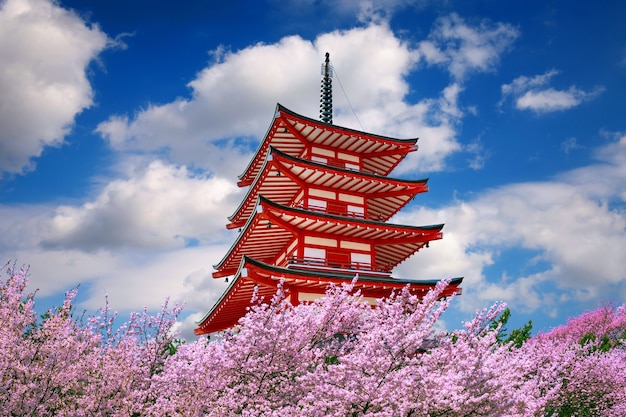 Pagoda rossa e fiori di ciliegio in primavera, Giappone.