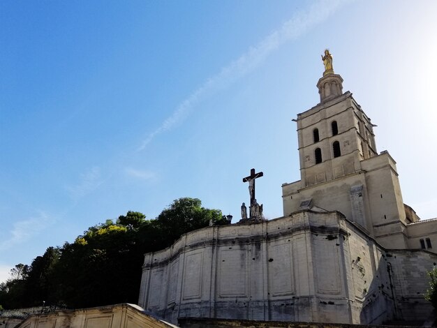 Palais des Papes circondato dal verde sotto la luce del sole e un cielo blu ad Avignone in Francia