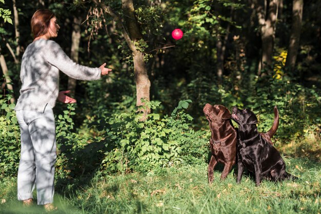 Palla da lancio della donna per i suoi animali domestici sul prato