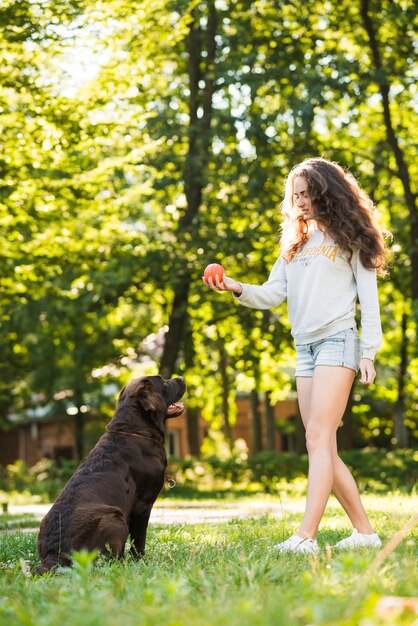 Palla della tenuta della donna vicino al suo cane in parco