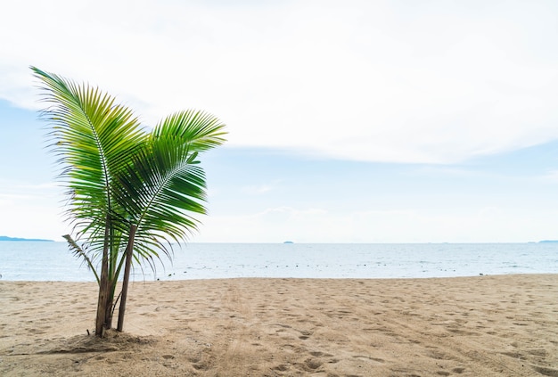 Palm e spiaggia tropicale a Pattaya in Thailandia