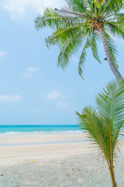 Palma con spiaggia e mare