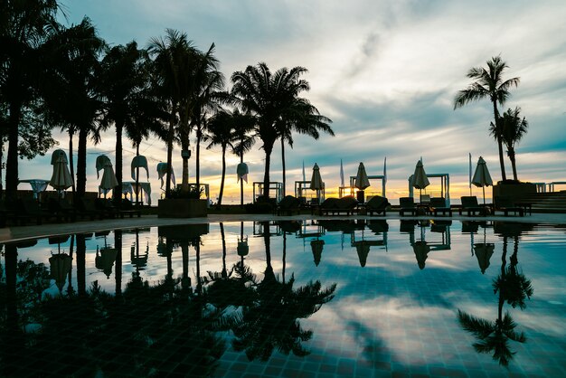 Palma da silhouette con ombrello