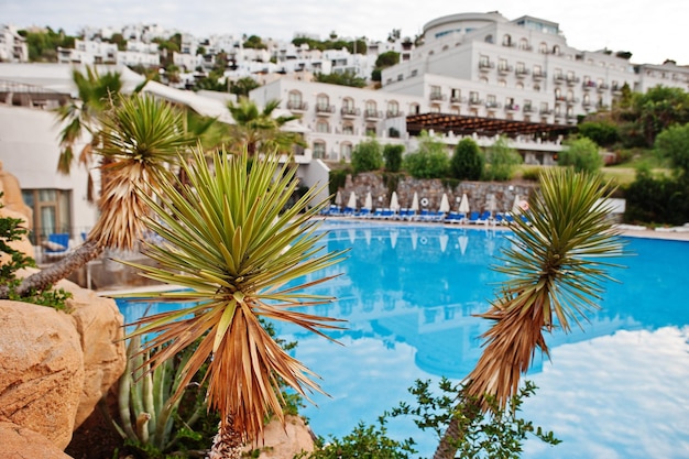 Palme sulle rocce contro la piscina al mattino presso l'hotel resort estivo mediterraneo in Turchia Bodrum