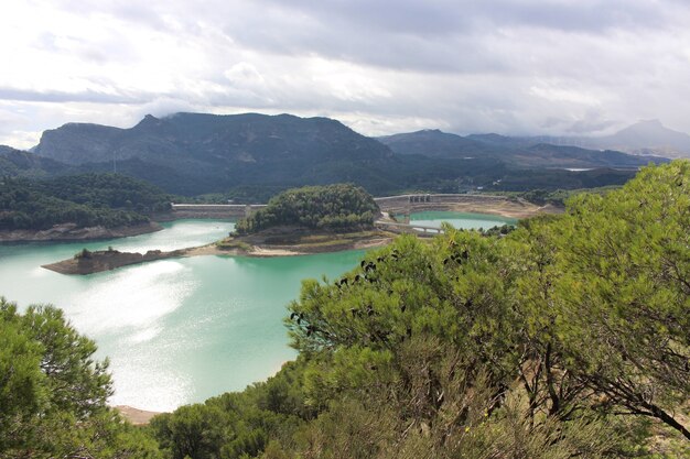 Palude in una giornata nuvolosa