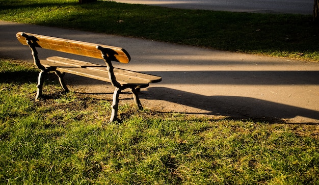 Panca in legno vuota in un parco durante il giorno