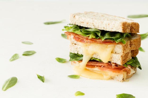 Pane tostato fresco con formaggio e le verdure sulla tavola