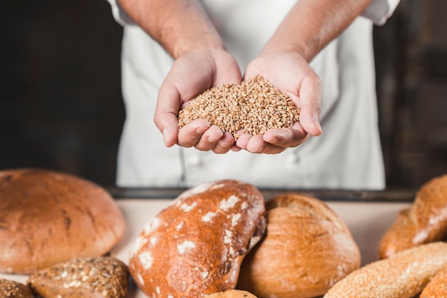 Panettiere che tiene i chicchi di grano nelle mani davanti al pane cotto