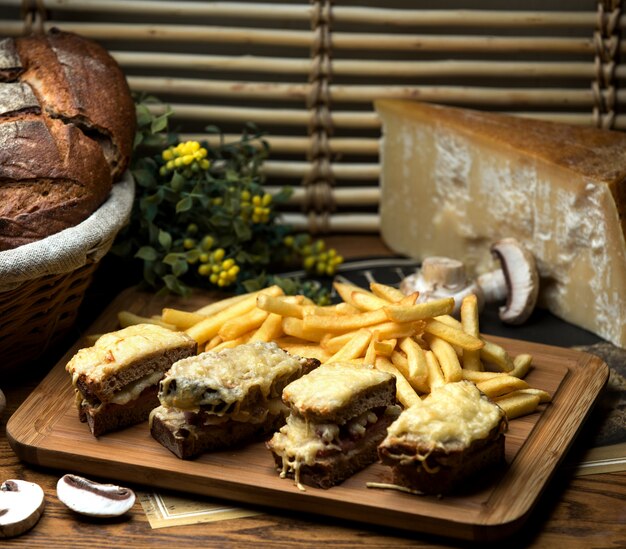 Panino al pane nero con formaggio grattugiato e patatine fritte