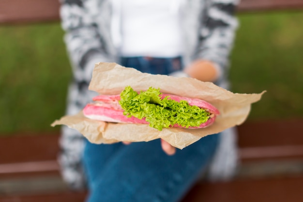 Panino da portar via delizioso di vista frontale